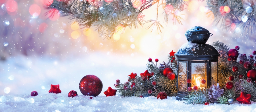 AdobeStock_225712975